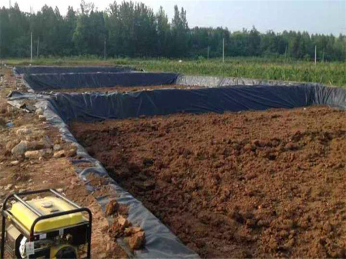 1644835381324258.jpg 1-1Z506101J4.jpg